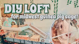 MAKING A LOFT FOR MY MIDWEST GUINEA PIG CAGE (C\u0026C DIY)