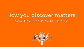 Introducing: Britannica Insights | Encyclopaedia Britannica
