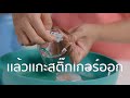 how to สติ๊กเกอร์บนขวดแก้ว ลอกออกได้ง่ายมาก รู้หรือไม่ dyk