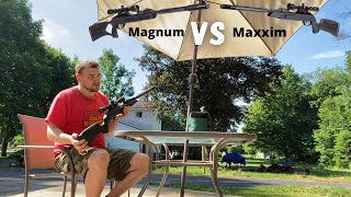 Gamo Swarm Maxxim .22 Vs Swarm Magnum  .22 (Penetration Test)