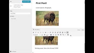 Customize Posts: TinyMCE Editor