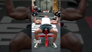 CHEST WORKOUT | Grow A Bigger Chest With These 4 Movements 🔥