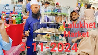 Sunday Lalukhet Market Farhan Birds Youtube Channel.