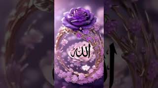 Assalam alaikum subscribe my channel #arabic#love#beautiful#arbian