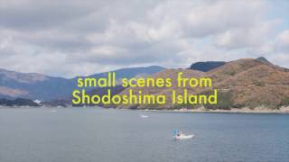 small scenes from Shodoshima Island