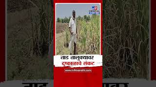 Parbhani Drought | पाण्याअभावी शेतकऱ्याचा ऊस वाळून जात असल्याने शेतकरी हतबल | tv9 Marathi