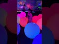 【teamlab】科工館 高雄展覽 未來遊樂園 與花共生的動物們 互動藝術 國立科學工藝博物館 光影展 art kaohsiung