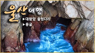 [울산여행] 대왕암공원 출렁다리 / 용굴 / Ulsan Korea