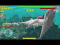 Hungry Shark Evolution Moby Dick Android Gameplay #11