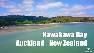 Find the cockles from the air EP.1 - Kawakawa Bay, New Zealand - DJI MAVIC Pro