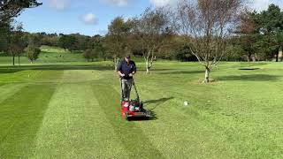 Toro pro-stripe (hayter 56) extracut-brush® attachment