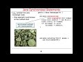 Java Synchronized Statements