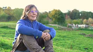 Le cheval autrement (documentaire)