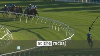 "RUN OF THE CENTURY!" | Pride Of Jenni storms home in the Queen Elizabeth Stakes