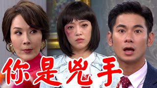 一家團圓│EP238 安樂現身指控遭受會長欺凌 琴姊福董得知自在身世 Family Reunion│ Vidol.tv