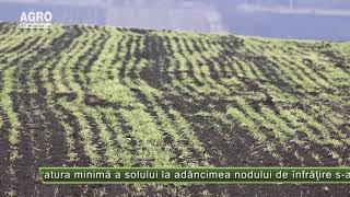 Un nou pericol pentru agricultură – AGRO TV News