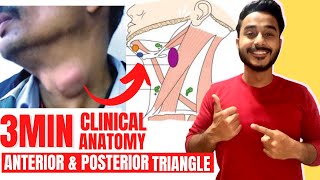 posterior triangle of neck clinical anatomy | anterior triangle of neck clinical anatomy