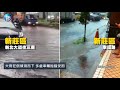 鏡週刊 鏡爆社會》鋒面迎來狂風暴雨　北台多處「水」滿為患