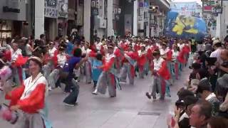 高知よさこい祭り2016　本祭一日目　讃州讃岐よさこい連　極　帯屋町演舞