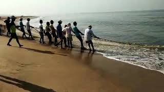 Rapan at Tondavali beach