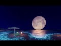 xe47 fluorescent moon sea ✨✨✨🌕 piano piece u0026 ocean sounds to sleep study and chill 🌝 3 hours