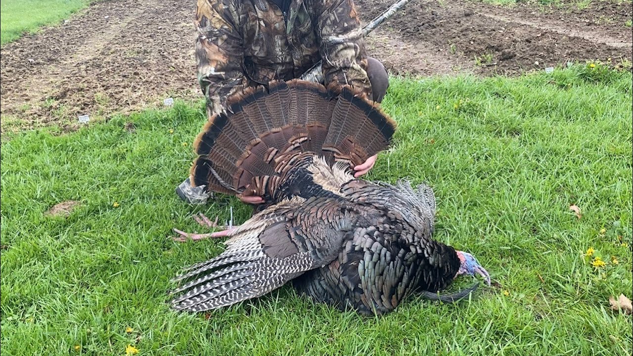 Successful Turkey Hunt Youtube