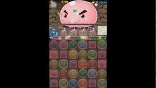 [パズドラ] ポリンの塔 超級 虹クリPT