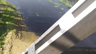 churni river from dijendralal roy bridge..