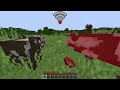 WAIT WHAT (Cow.exe with different Wi-Fi) #13