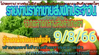 ราคาผักวันนี้ ปลูกผัก เช็คราคาผัก สำรวจราคาผัก อัพเดทราคาผักวันนี้ 9/8/66