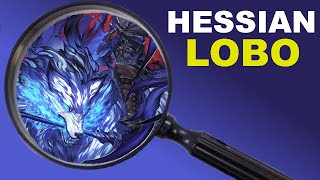 How Accurate is FGO's Hessian Lobo?