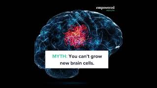 Myths About Brain Aging