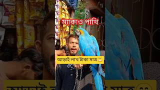 পোষা ম্যাকাও পাখির দাম 2024 | Macaw parrot price in Bangladesh | Most Expensive Bird Price | #macow