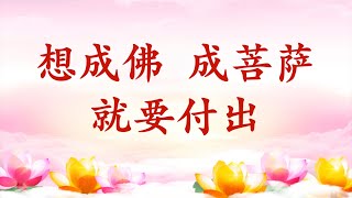 卢台长【节目录音+字幕】想成佛，成菩萨，就要付出