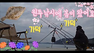 원투낚시 봄의 서막을 열다. 봄도다리시즌이 돌아왔다!! 부산 가덕도 봄도다리 원투낚시