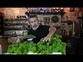 GROW 100,000 PLANTS Cheap and Easy