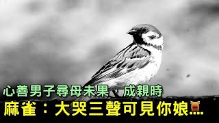 男子尋母，成親時，麻雀落在肩頭：大哭三聲可見你娘....【明朝民間故事】