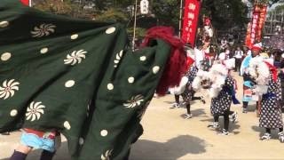 おおいた　緒方五千石祭り　獅子･白熊奉納