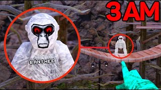 I Found BANSHEE at 3AM...