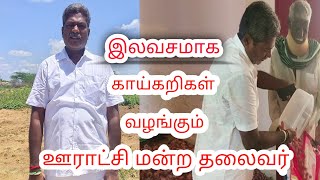 இலவசமாக காய்கறி வழங்கும் ஊராட்சி மன்ற தலைவர்|Panchayat President  provides vegetables for free