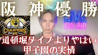 阪神タイガース優勝！道頓堀ダイブよりやばい甲子園の様子を全て公開...