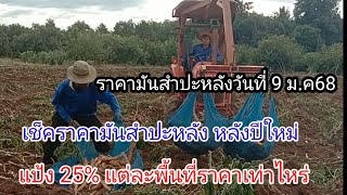 ราคามันสําปะหลังล่าสุด เปิดเสียงแป้ง25%ราคาจะอยู่ที่เท่าไหร่ แต่ละพื้นที่ราคามันรวมเช็คได้ในคลิปนี้