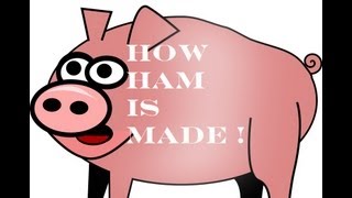 The Meat Processing Plants: How Ham is Made! Hormell Food Kill Floor