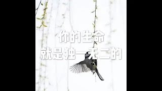 201507 你的生命就是独一无二的21944