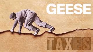 Geese - Taxes
