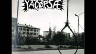 Yacopsae   -  Verbrannt.