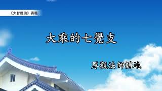 《大智度論》要義 224｜大乘的七覺支