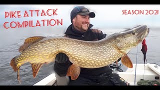 Pike attack compilation (season 2021)