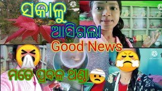 ସକାଳୁ ସକାଳୁ Good news// ମତେ ପ୍ରବଳ ଥଣ୍ଡା କୁ ମୁଣ୍ଡବିନ୍ଧା 🤧🤕😤