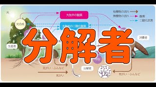 中学３年　理科『分解者』【現役教師による授業動画】